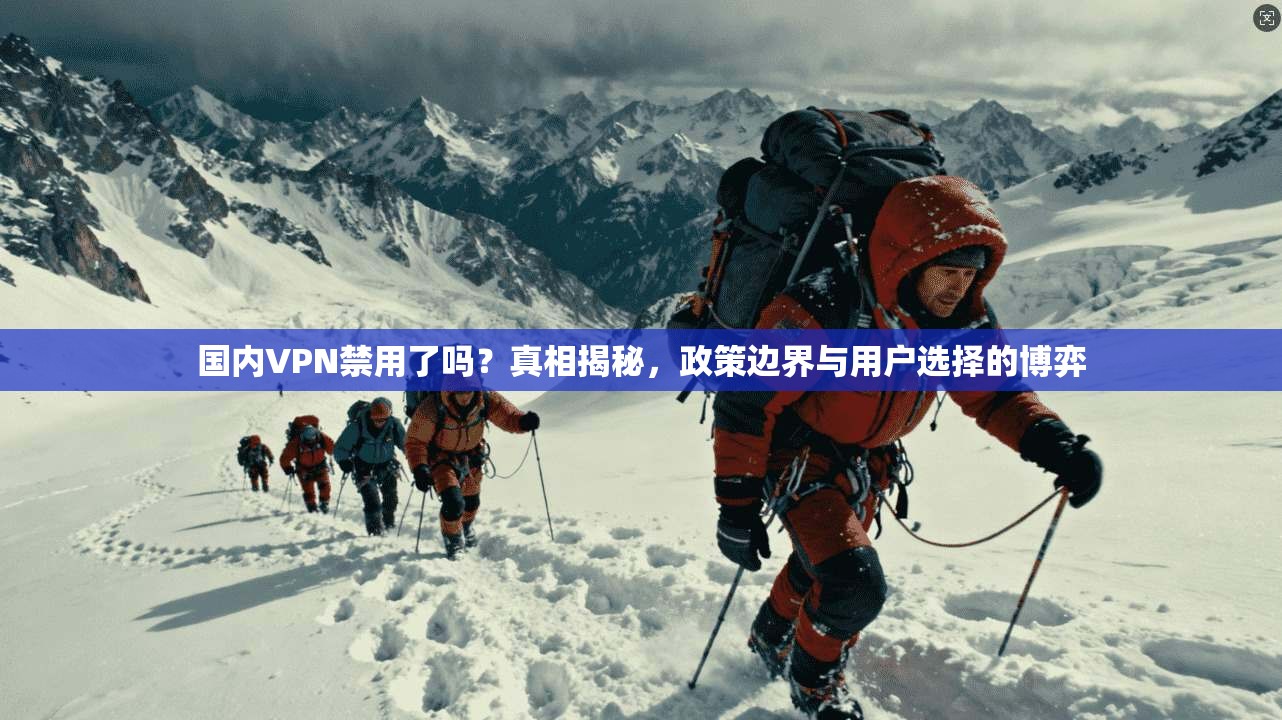 国内VPN禁用了吗？真相揭秘，政策边界与用户选择的博弈