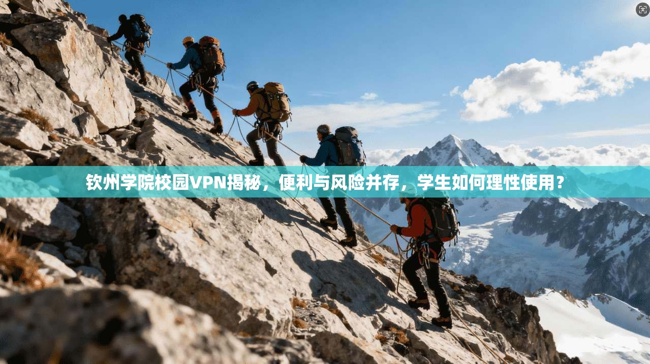 钦州学院校园VPN揭秘，便利与风险并存，学生如何理性使用？