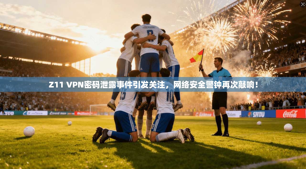 Z11 VPN密码泄露事件引发关注，网络安全警钟再次敲响！