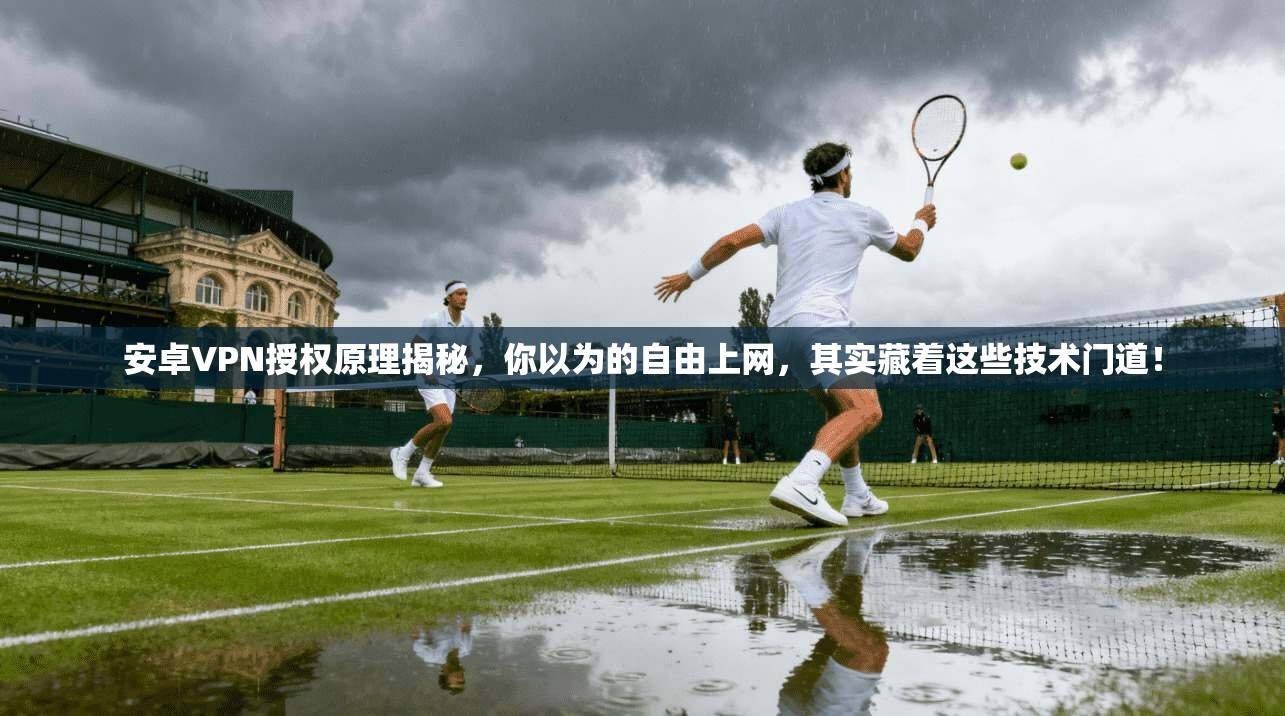 安卓VPN授权原理揭秘，你以为的自由上网，其实藏着这些技术门道！