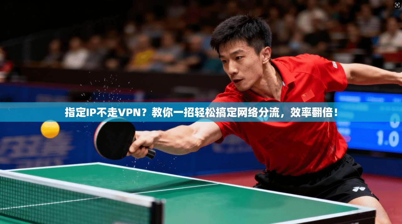 指定IP不走VPN？教你一招轻松搞定网络分流，效率翻倍！