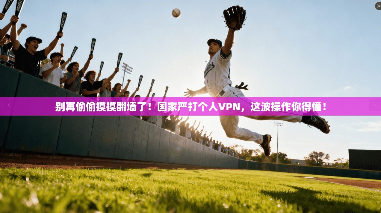 别再偷偷摸摸翻墙了！国家严打个人VPN，这波操作你得懂！