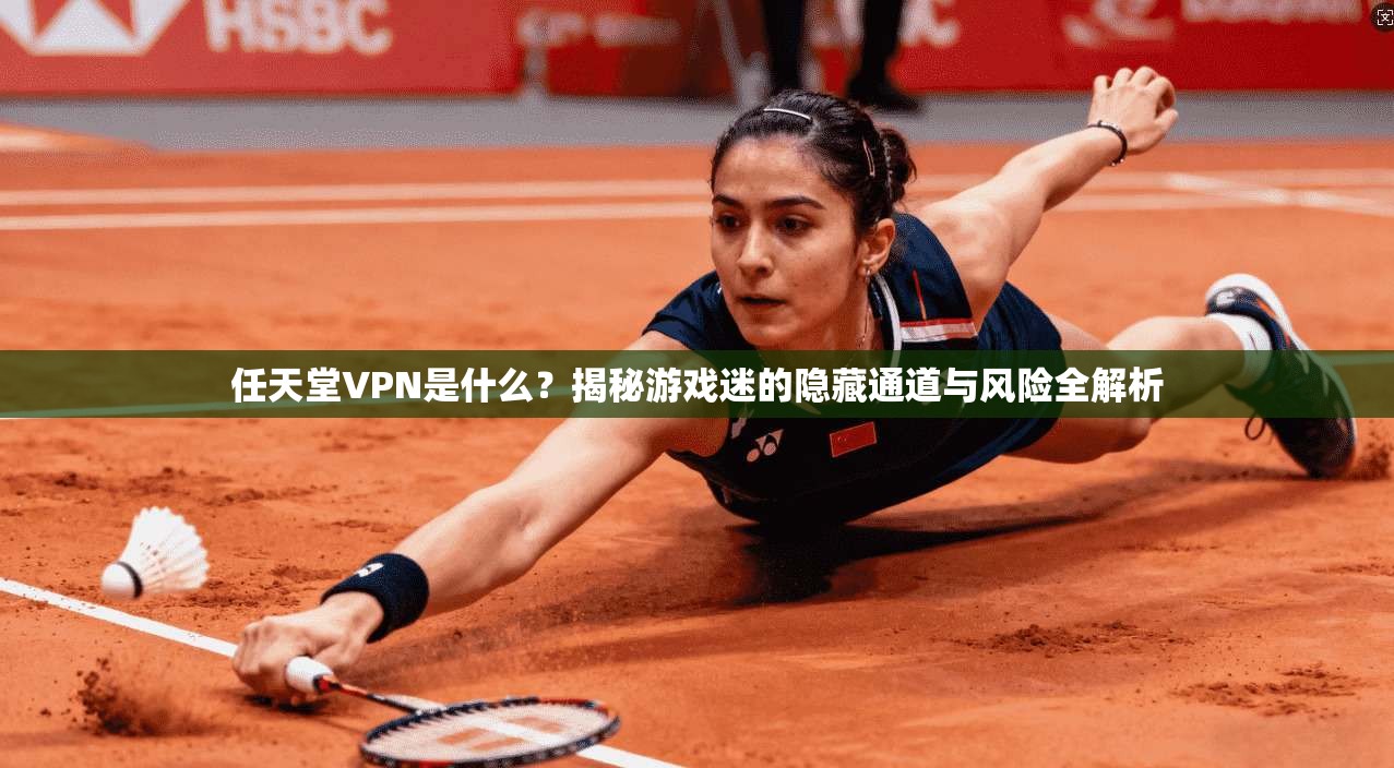 任天堂VPN是什么？揭秘游戏迷的隐藏通道与风险全解析