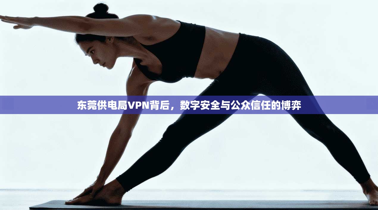 东莞供电局VPN背后，数字安全与公众信任的博弈