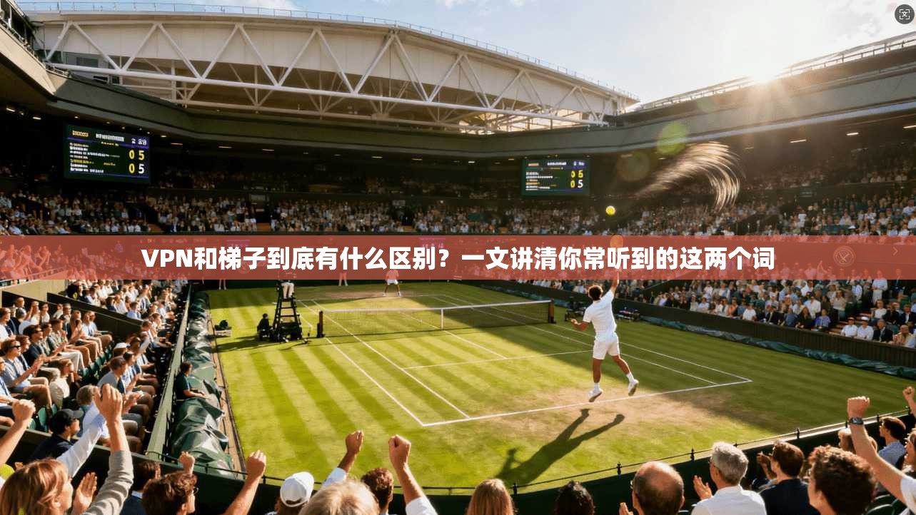 VPN和梯子到底有什么区别？一文讲清你常听到的这两个词