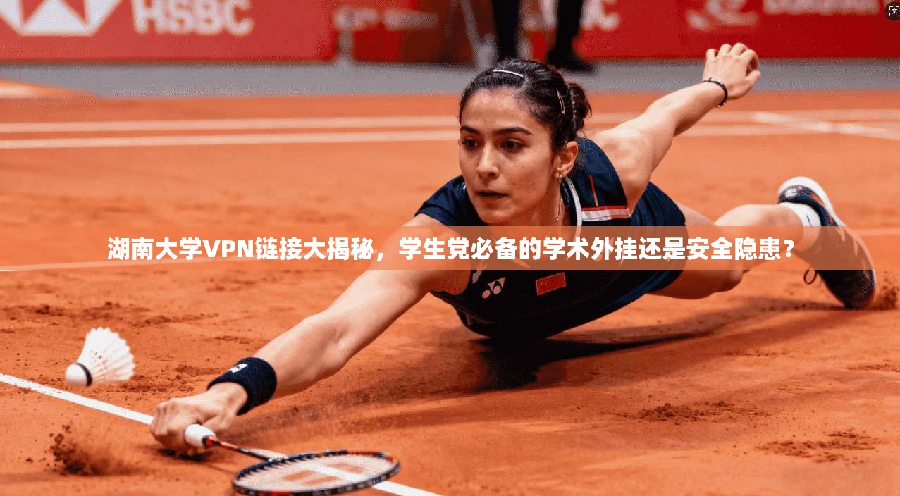 湖南大学VPN链接大揭秘，学生党必备的学术外挂还是安全隐患？