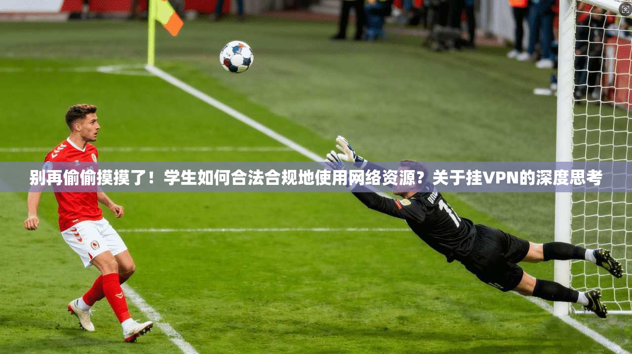 别再偷偷摸摸了！学生如何合法合规地使用网络资源？关于挂VPN的深度思考