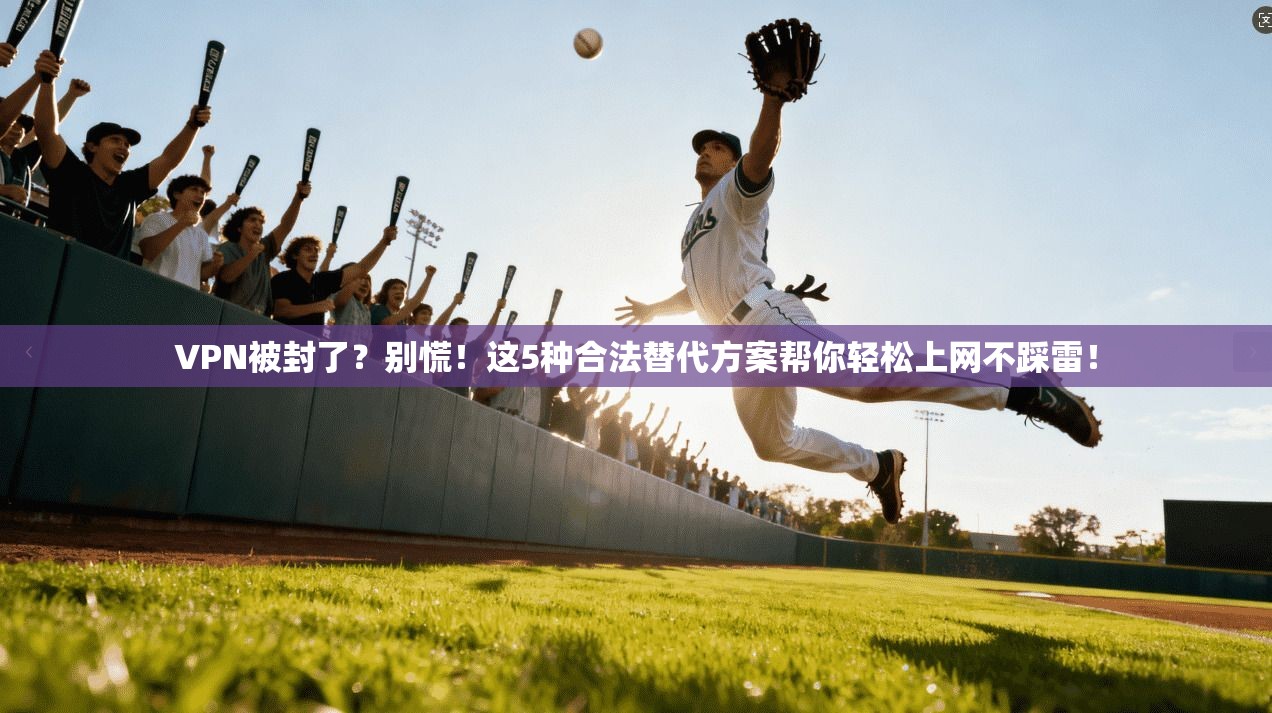 VPN被封了？别慌！这5种合法替代方案帮你轻松上网不踩雷！