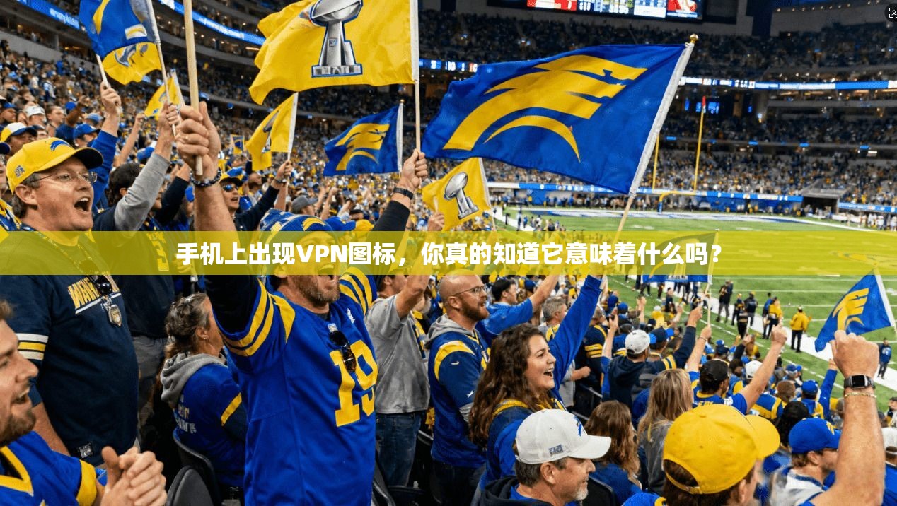 手机上出现VPN图标，你真的知道它意味着什么吗？