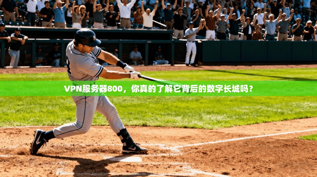 VPN服务器800，你真的了解它背后的数字长城吗？