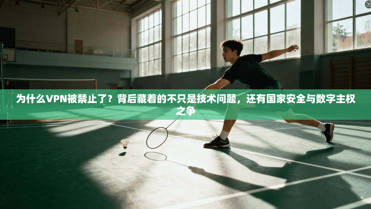 为什么VPN被禁止了？背后藏着的不只是技术问题，还有国家安全与数字主权之争