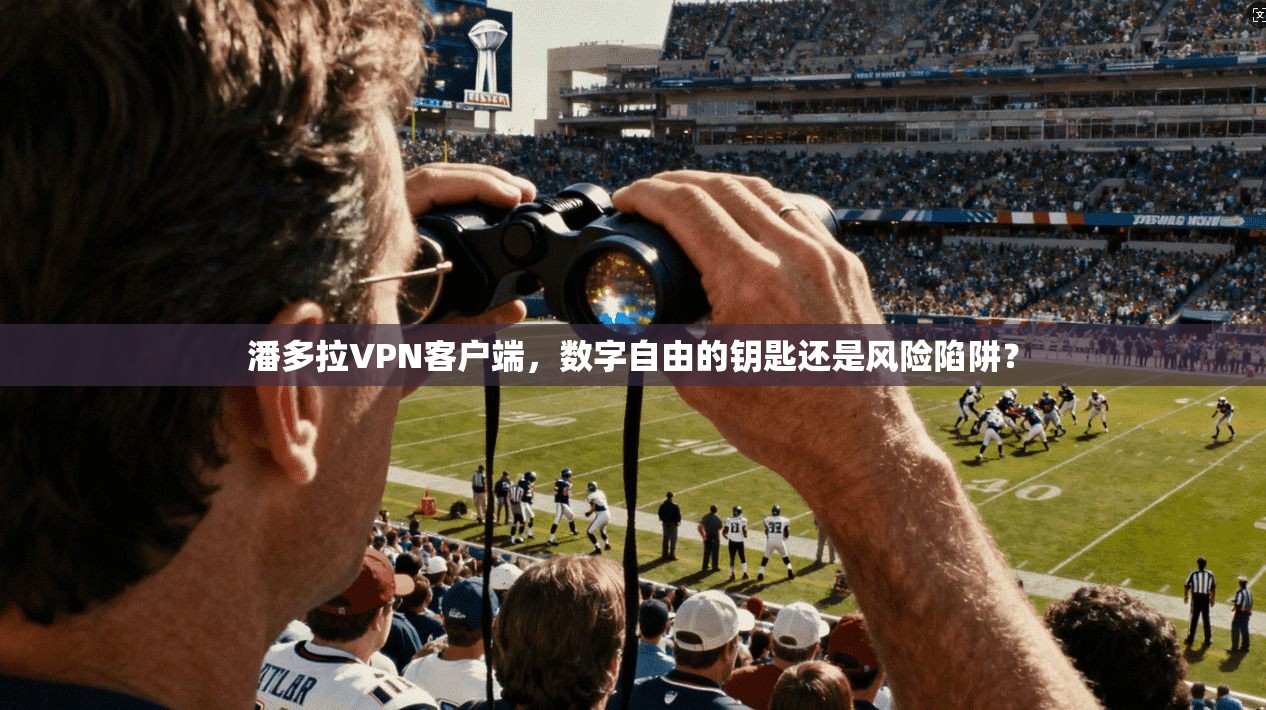 潘多拉VPN客户端，数字自由的钥匙还是风险陷阱？