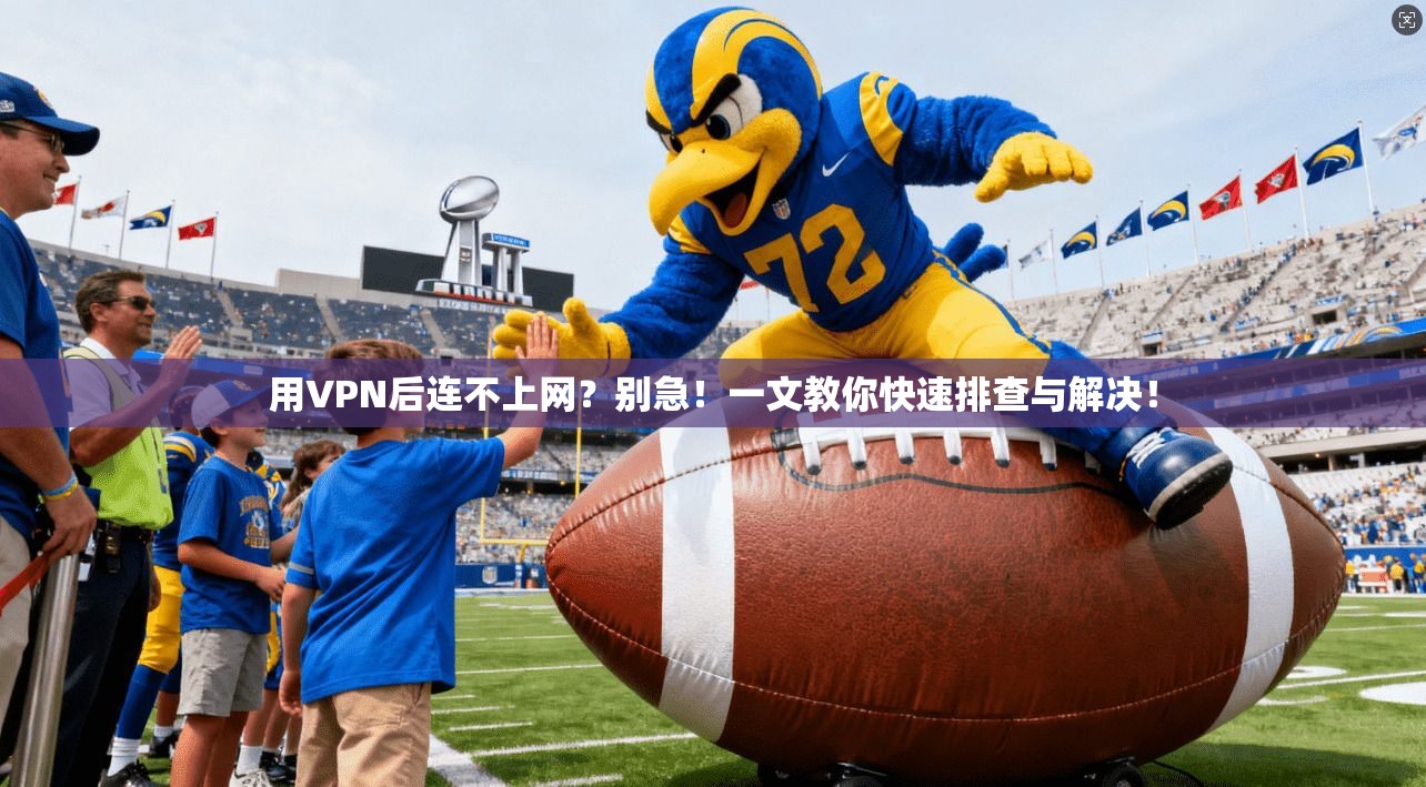 用VPN后连不上网？别急！一文教你快速排查与解决！