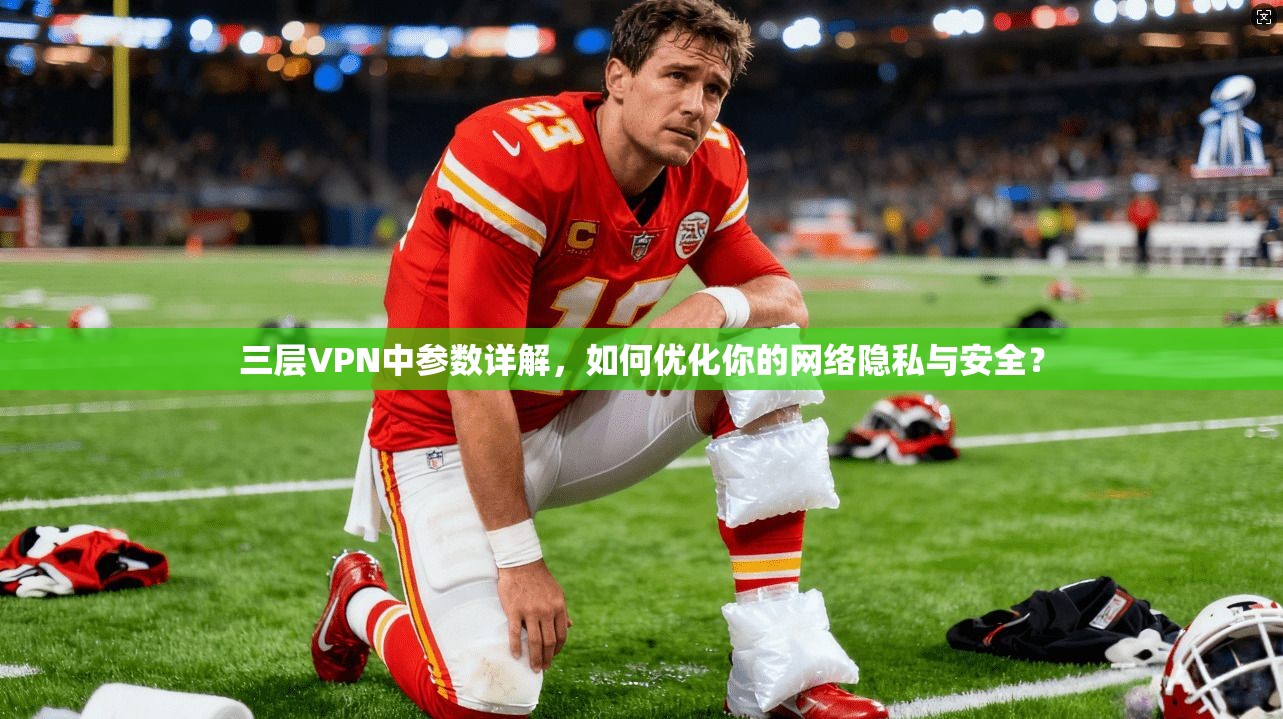 三层VPN中参数详解，如何优化你的网络隐私与安全？