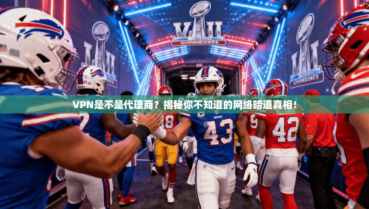 VPN是不是代理商？揭秘你不知道的网络暗道真相！