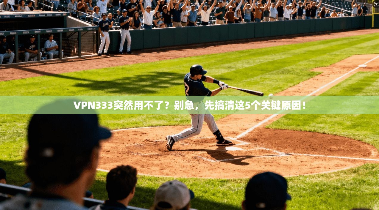 VPN333突然用不了？别急，先搞清这5个关键原因！