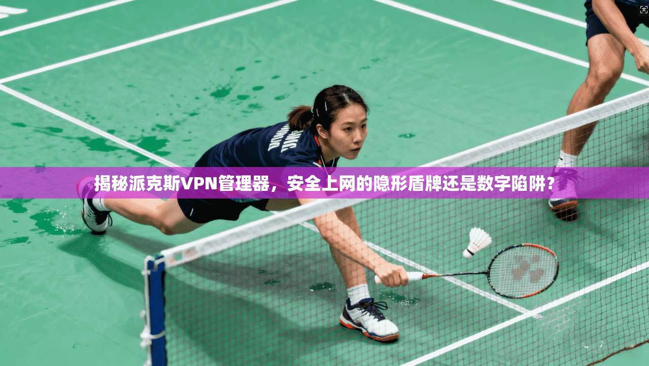 揭秘派克斯VPN管理器，安全上网的隐形盾牌还是数字陷阱？
