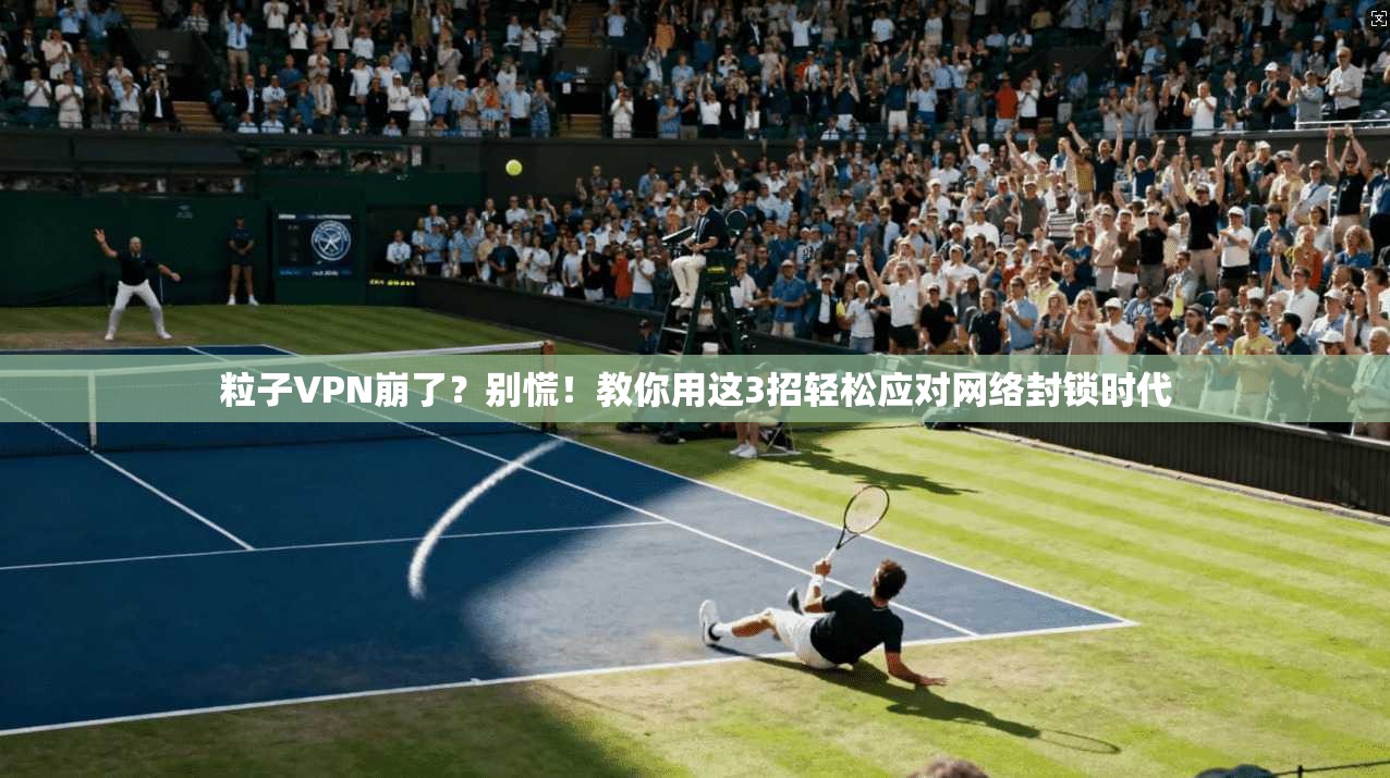 粒子VPN崩了？别慌！教你用这3招轻松应对网络封锁时代