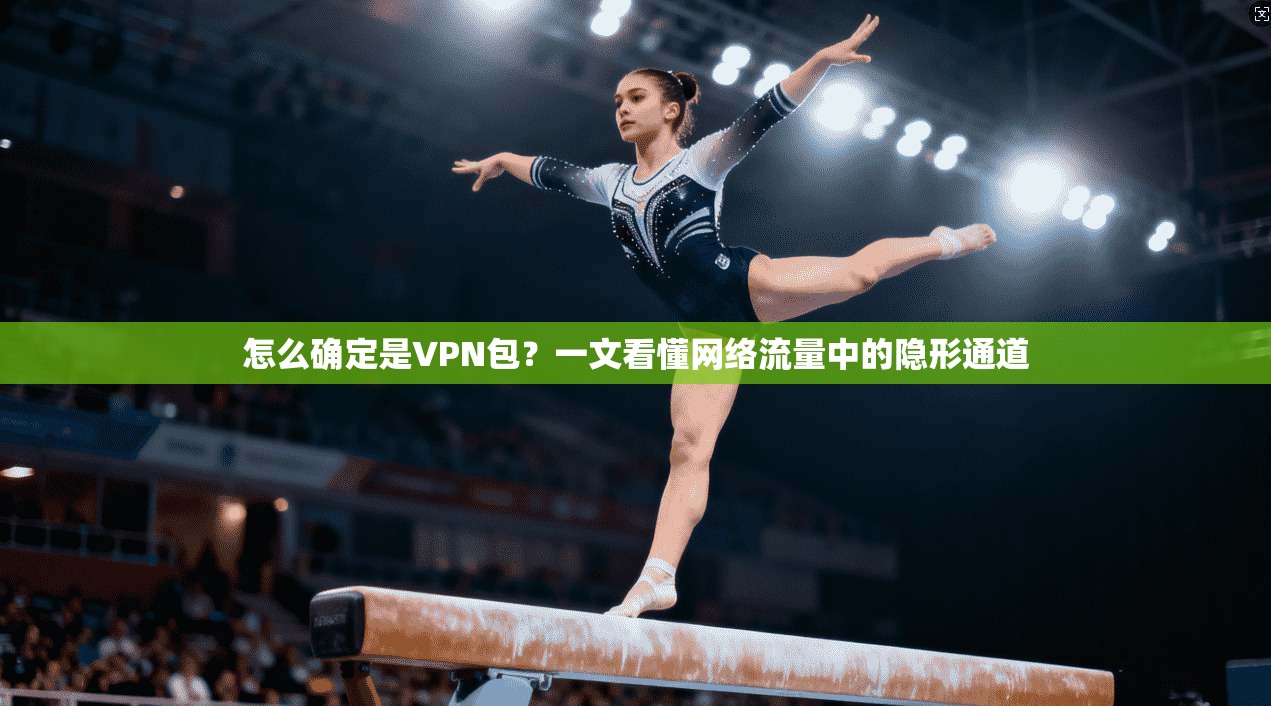 怎么确定是VPN包？一文看懂网络流量中的隐形通道