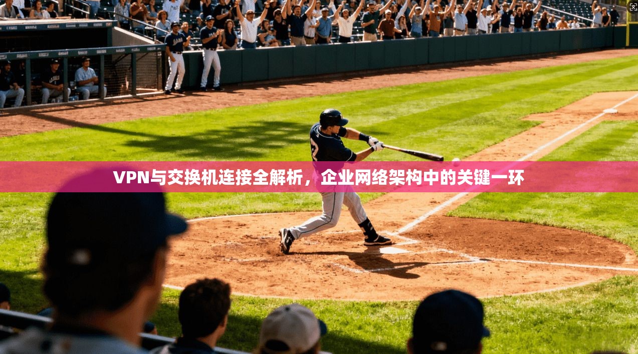 VPN与交换机连接全解析，企业网络架构中的关键一环