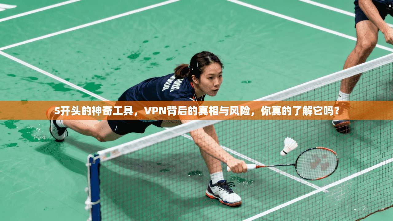 S开头的神奇工具，VPN背后的真相与风险，你真的了解它吗？