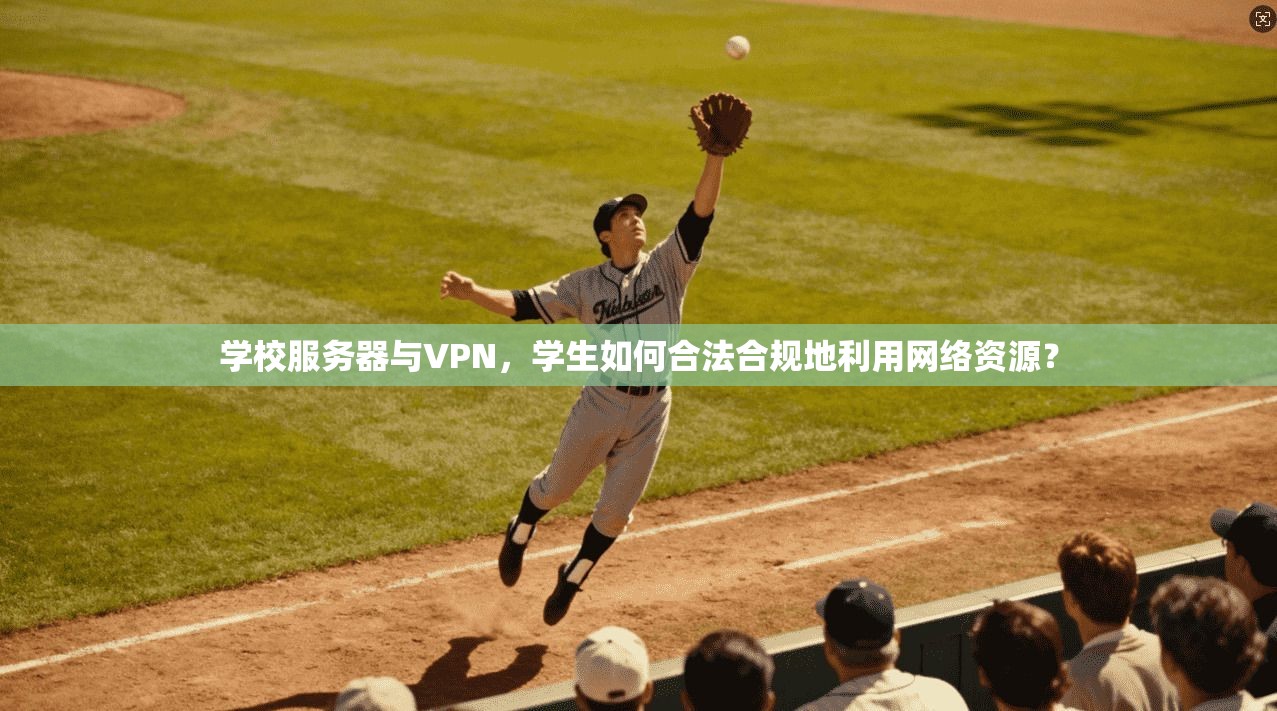 学校服务器与VPN，学生如何合法合规地利用网络资源？