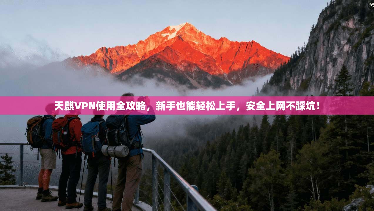 天麒VPN使用全攻略，新手也能轻松上手，安全上网不踩坑！