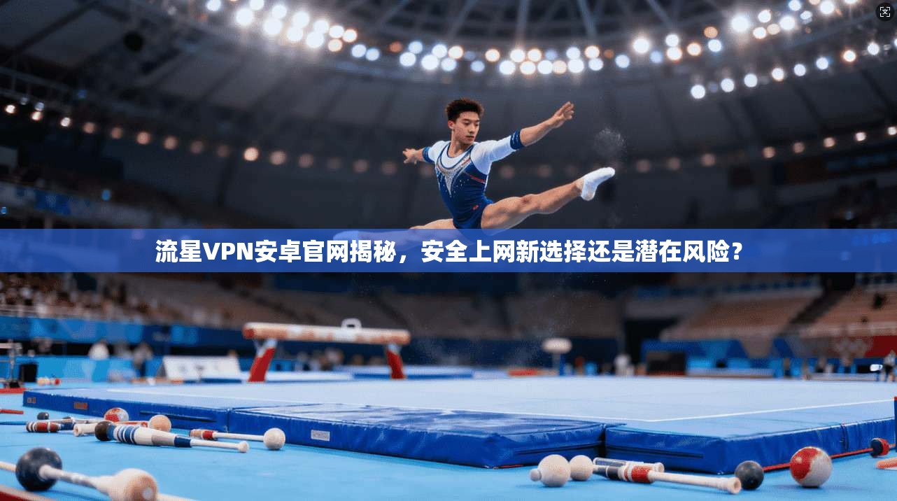 流星VPN安卓官网揭秘，安全上网新选择还是潜在风险？