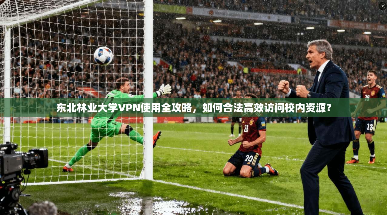 东北林业大学VPN使用全攻略，如何合法高效访问校内资源？