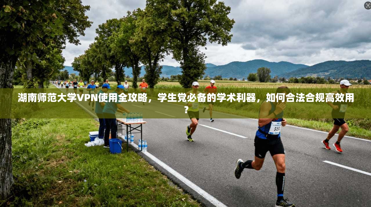 湖南师范大学VPN使用全攻略，学生党必备的学术利器，如何合法合规高效用？