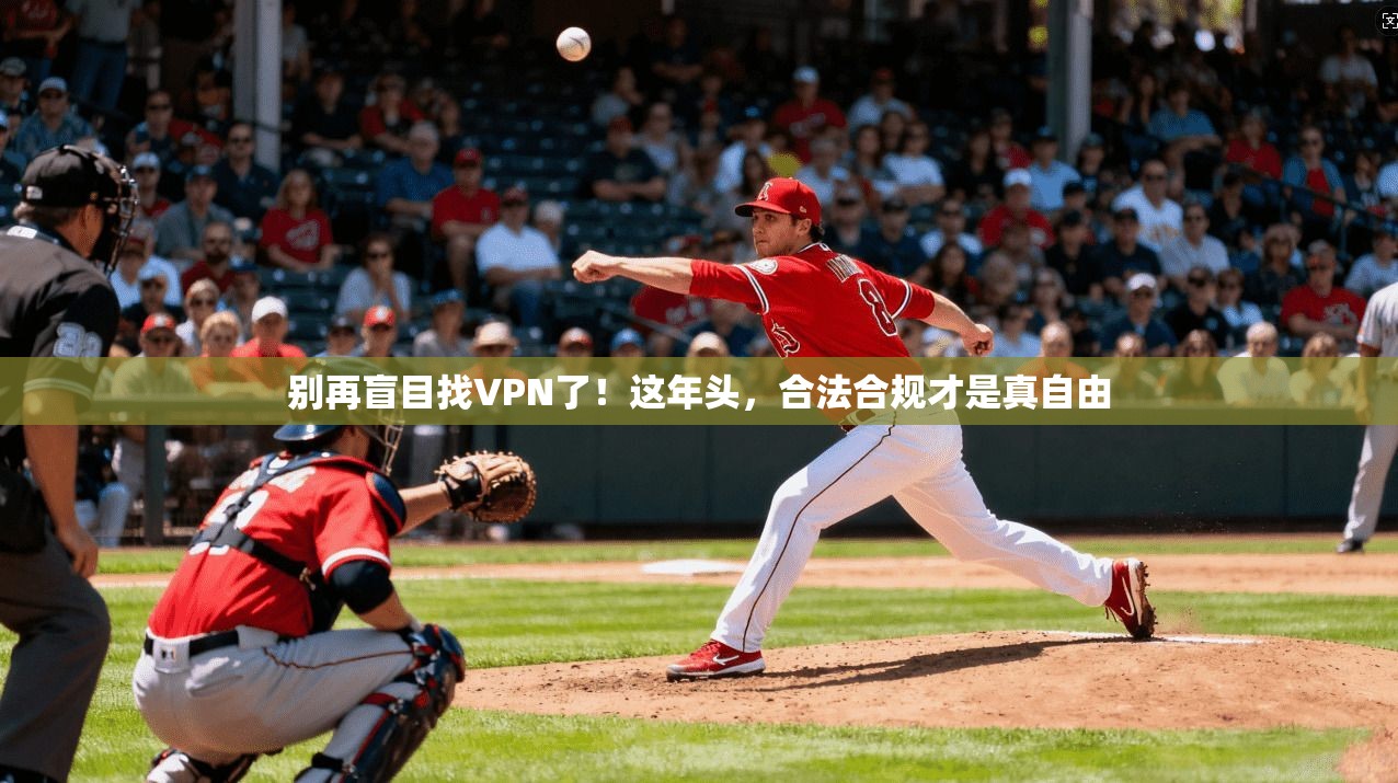 别再盲目找VPN了！这年头，合法合规才是真自由