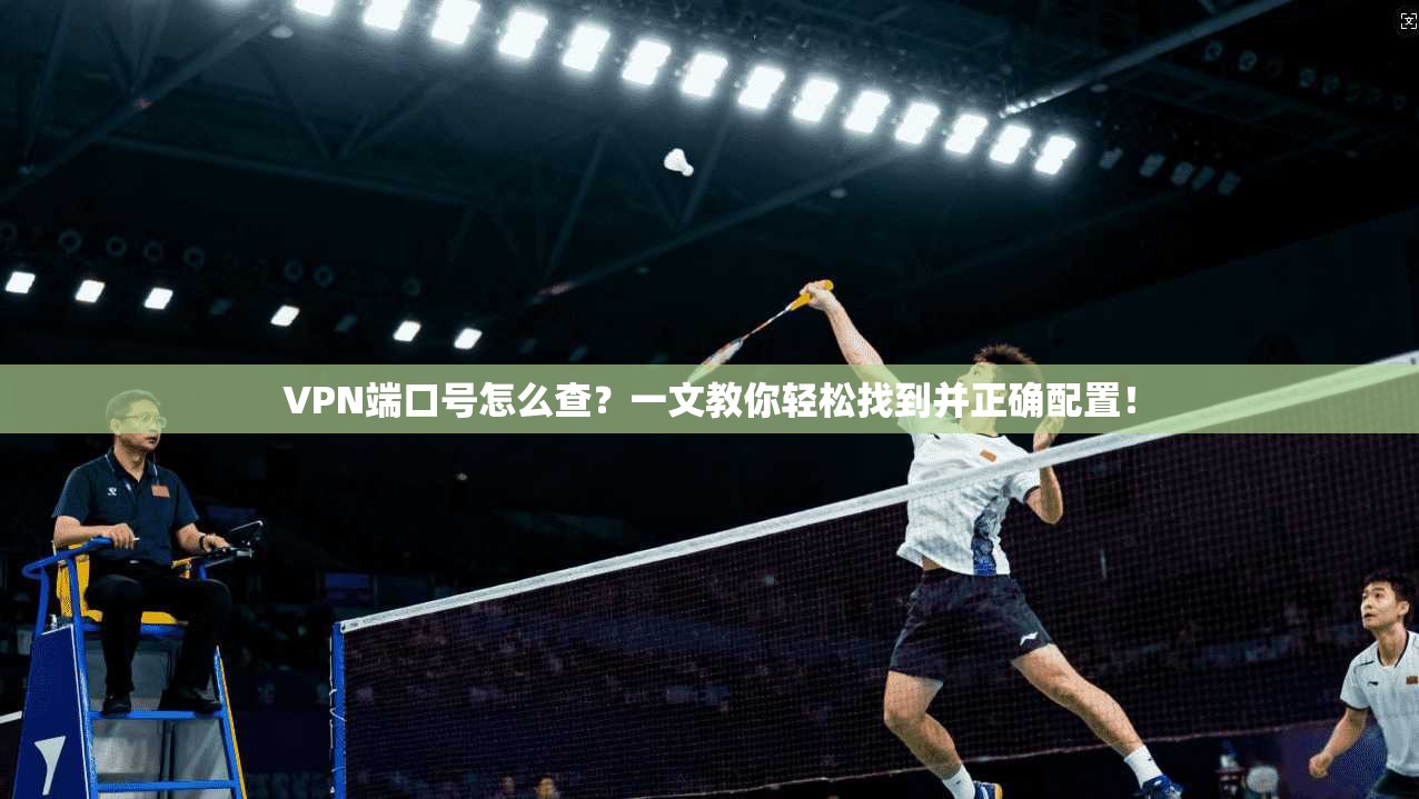 VPN端口号怎么查？一文教你轻松找到并正确配置！
