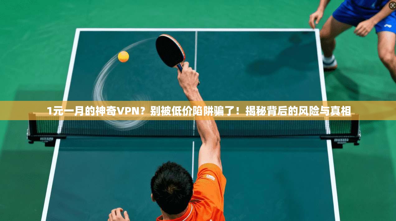 1元一月的神奇VPN？别被低价陷阱骗了！揭秘背后的风险与真相