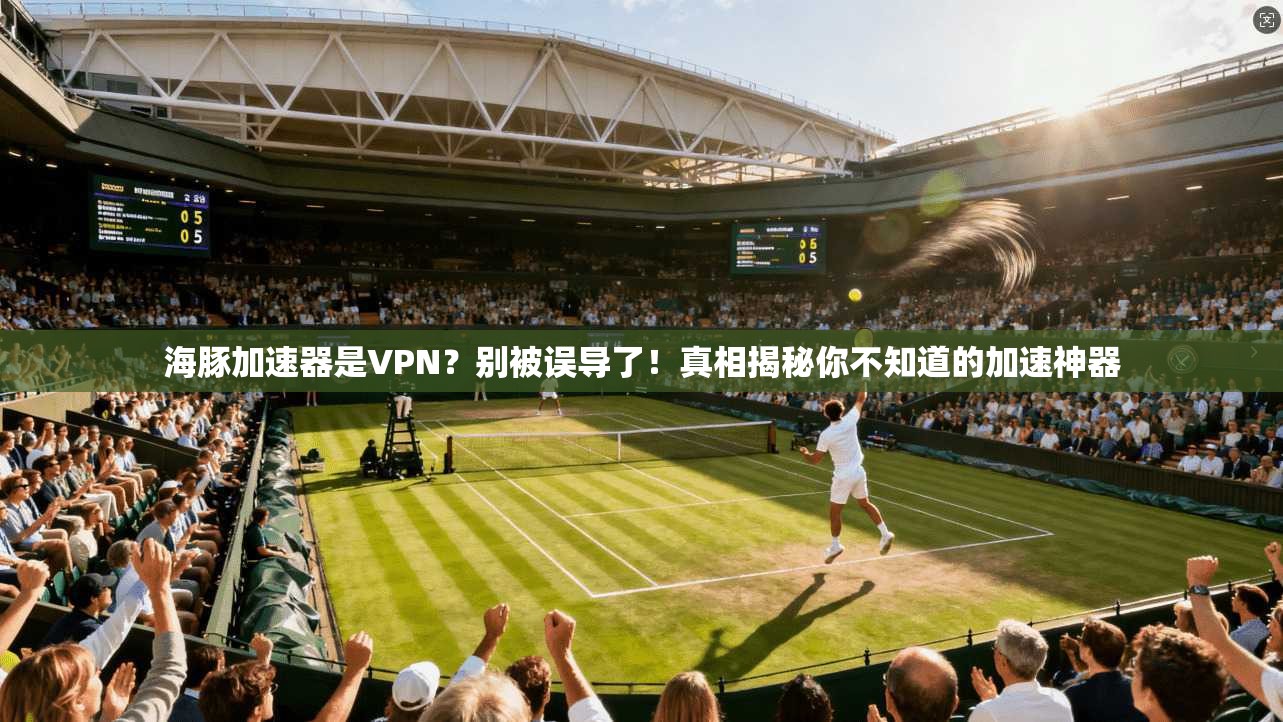 海豚加速器是VPN？别被误导了！真相揭秘你不知道的加速神器