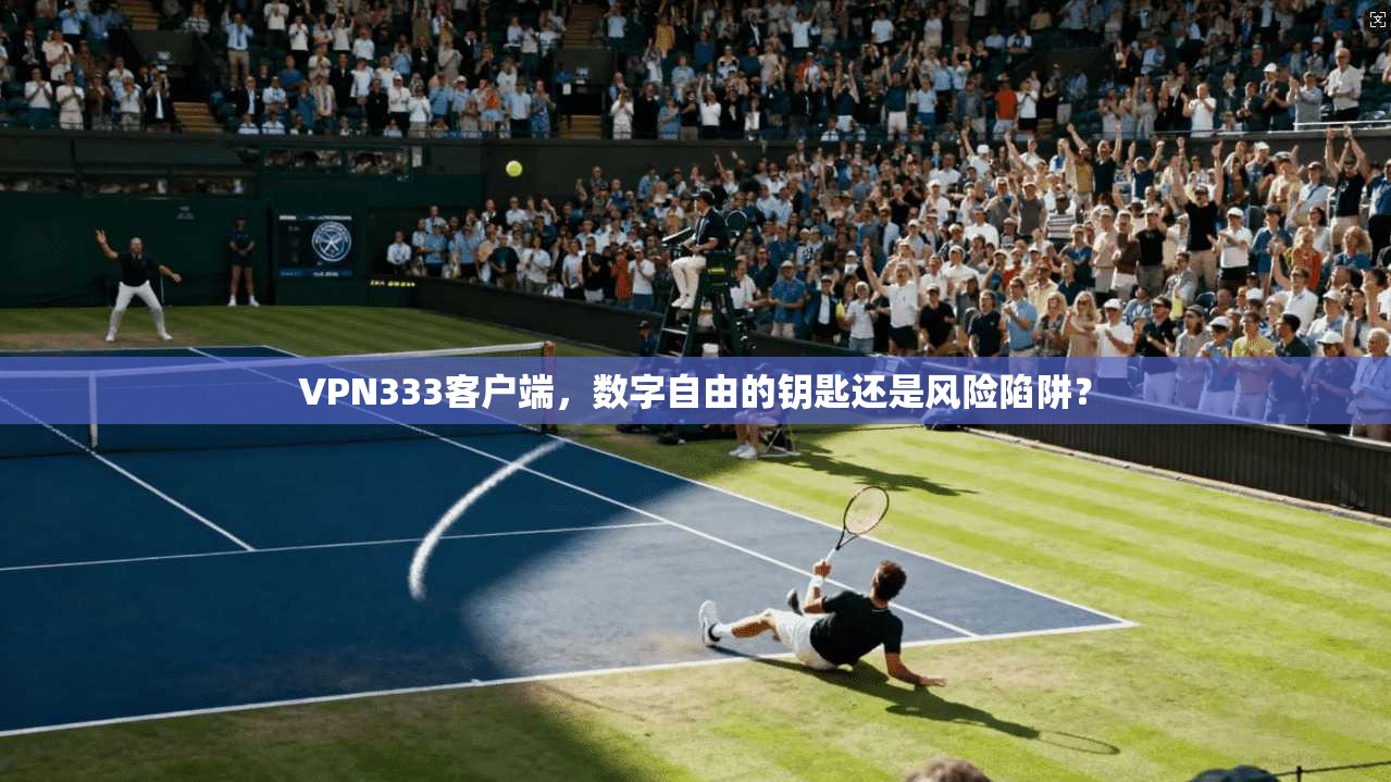 VPN333客户端，数字自由的钥匙还是风险陷阱？