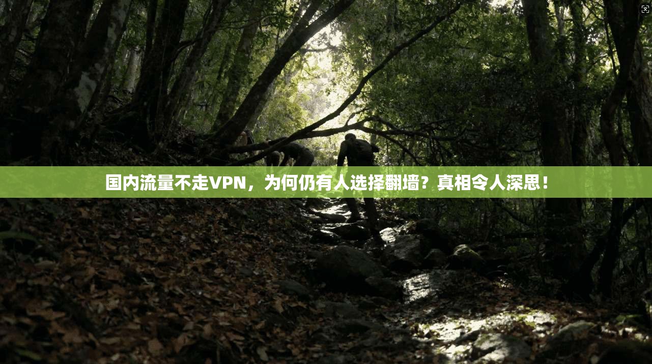 国内流量不走VPN，为何仍有人选择翻墙？真相令人深思！