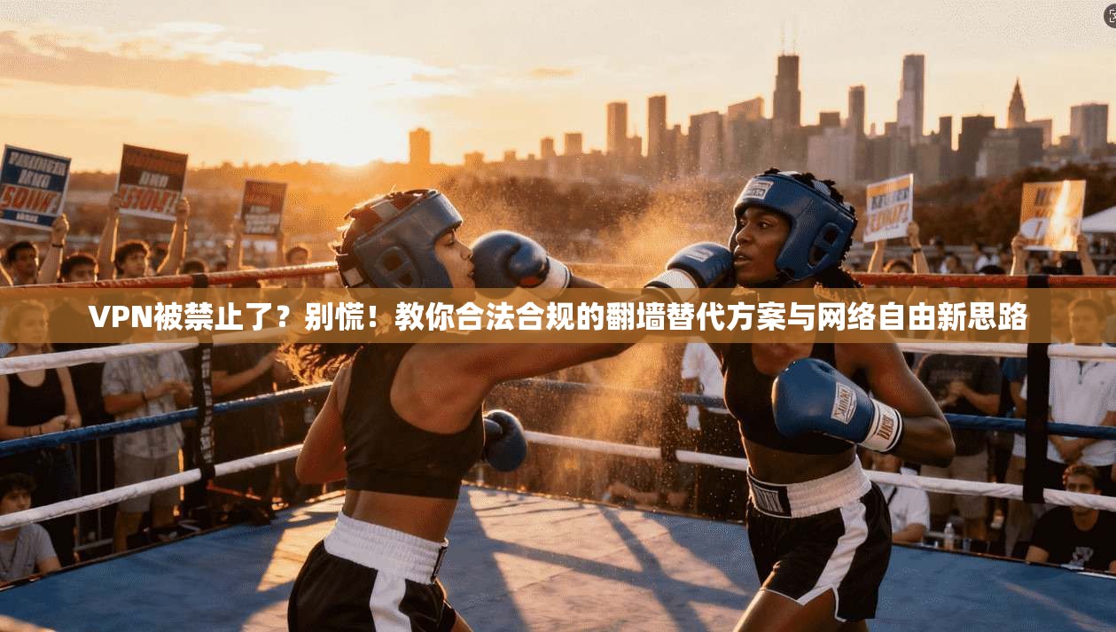 VPN被禁止了？别慌！教你合法合规的翻墙替代方案与网络自由新思路