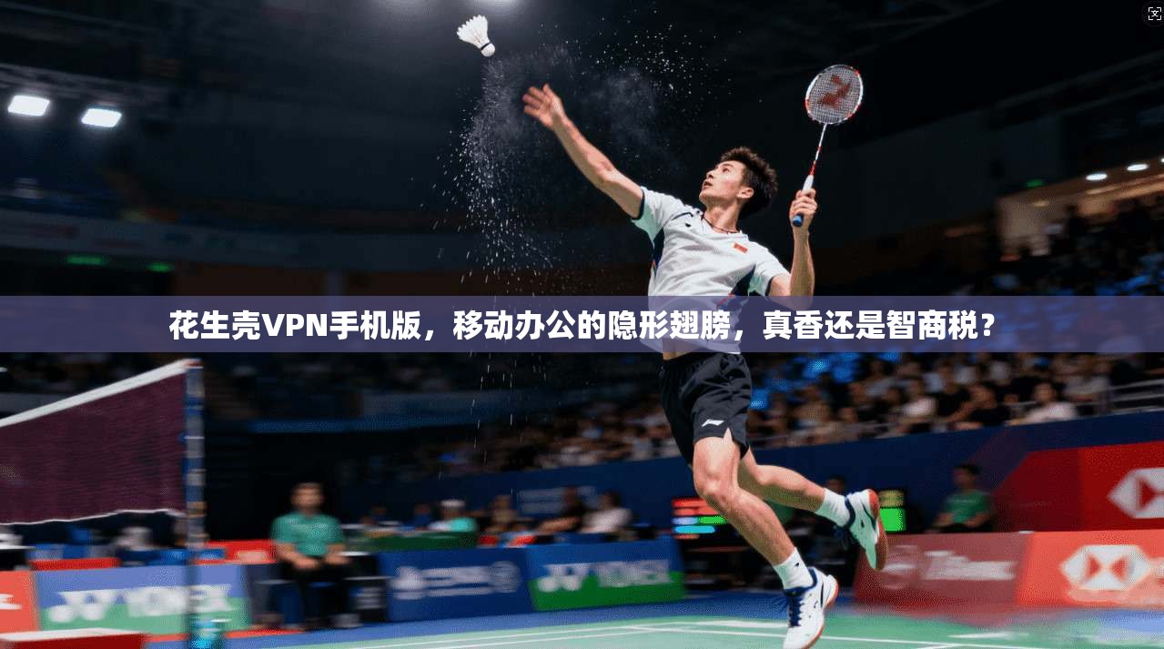 花生壳VPN手机版，移动办公的隐形翅膀，真香还是智商税？