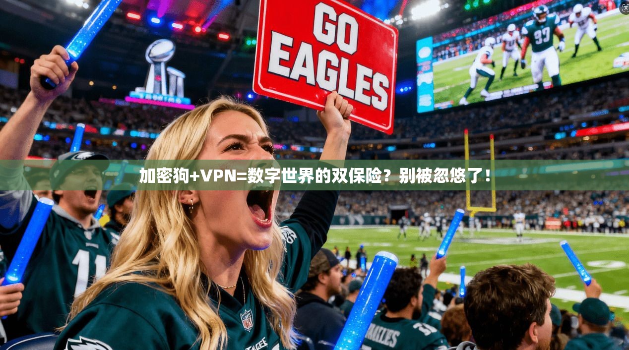 加密狗+VPN=数字世界的双保险？别被忽悠了！