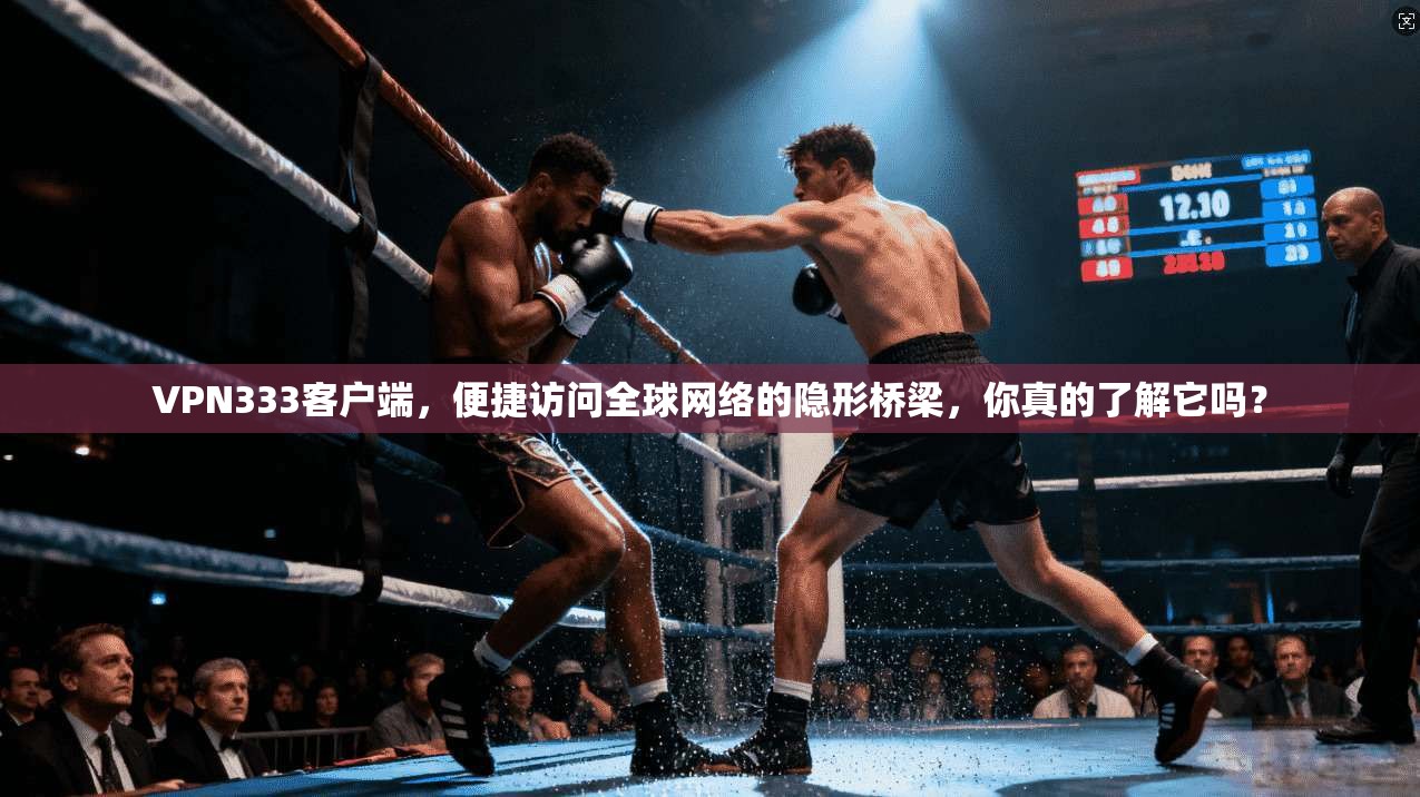 VPN333客户端，便捷访问全球网络的隐形桥梁，你真的了解它吗？