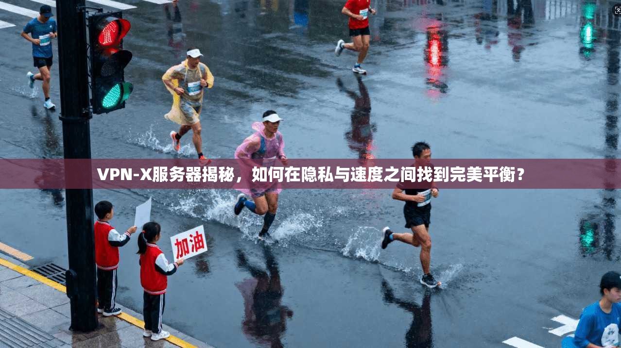 VPN-X服务器揭秘，如何在隐私与速度之间找到完美平衡？