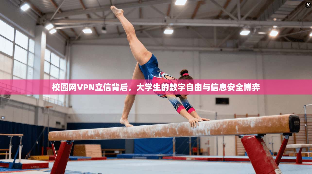 校园网VPN立信背后，大学生的数字自由与信息安全博弈