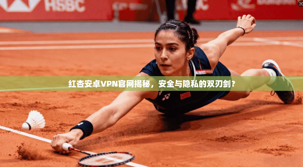 红杏安卓VPN官网揭秘，安全与隐私的双刃剑？