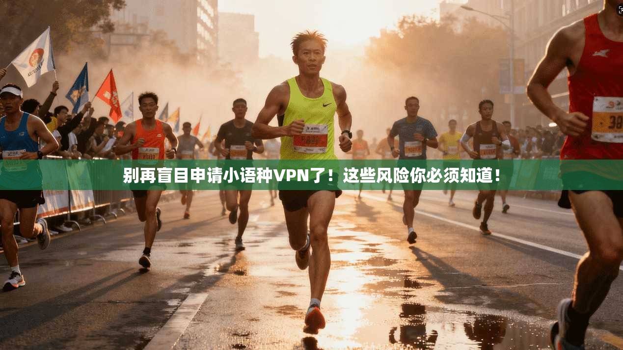 别再盲目申请小语种VPN了！这些风险你必须知道！