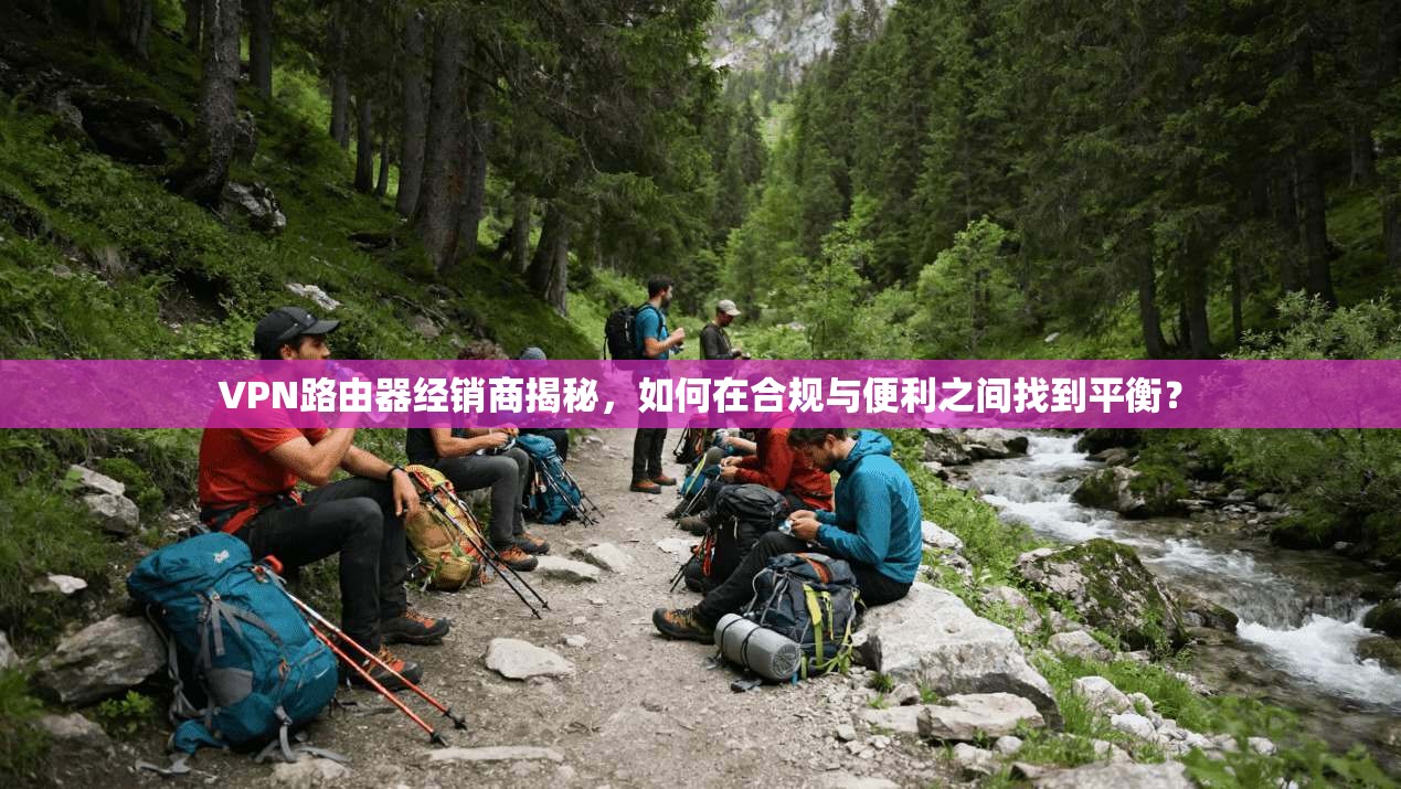 VPN路由器经销商揭秘，如何在合规与便利之间找到平衡？