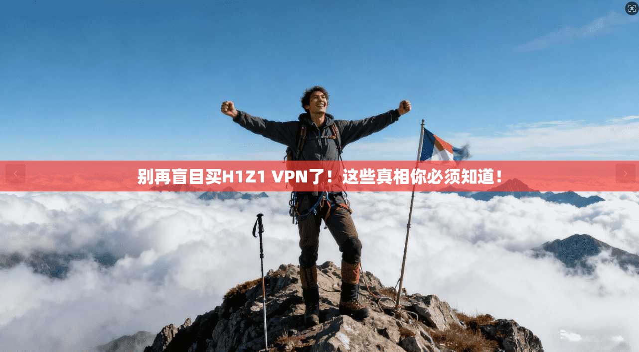 别再盲目买H1Z1 VPN了！这些真相你必须知道！