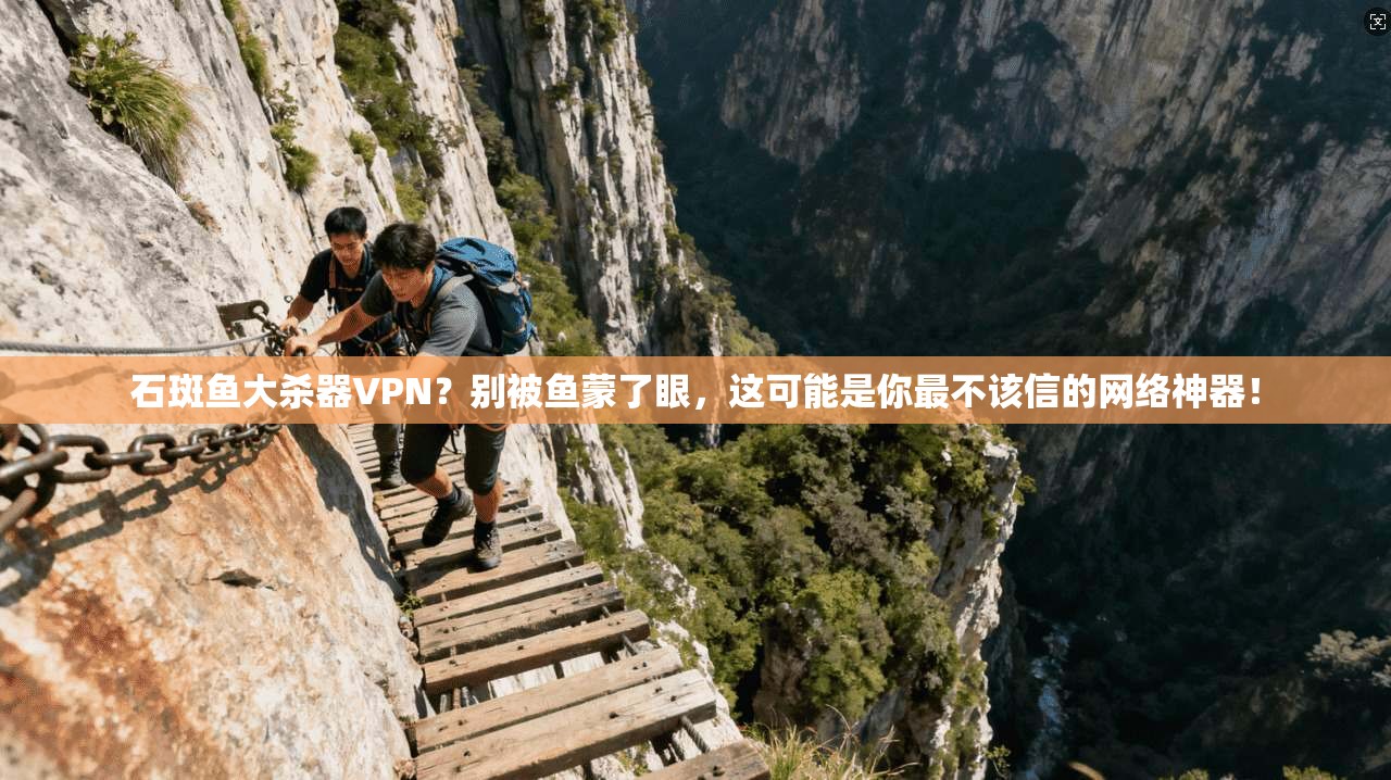 石斑鱼大杀器VPN？别被鱼蒙了眼，这可能是你最不该信的网络神器！