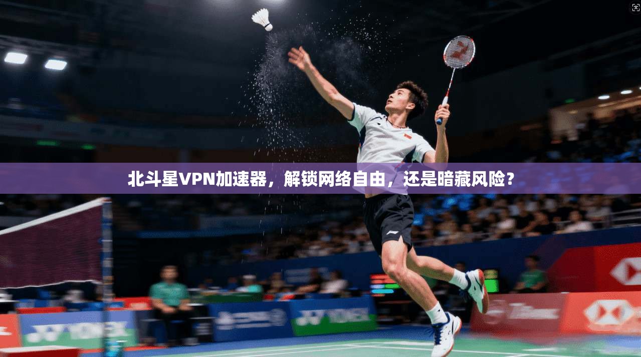 北斗星VPN加速器，解锁网络自由，还是暗藏风险？
