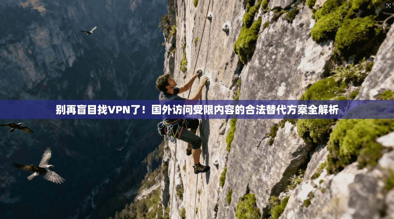 别再盲目找VPN了！国外访问受限内容的合法替代方案全解析