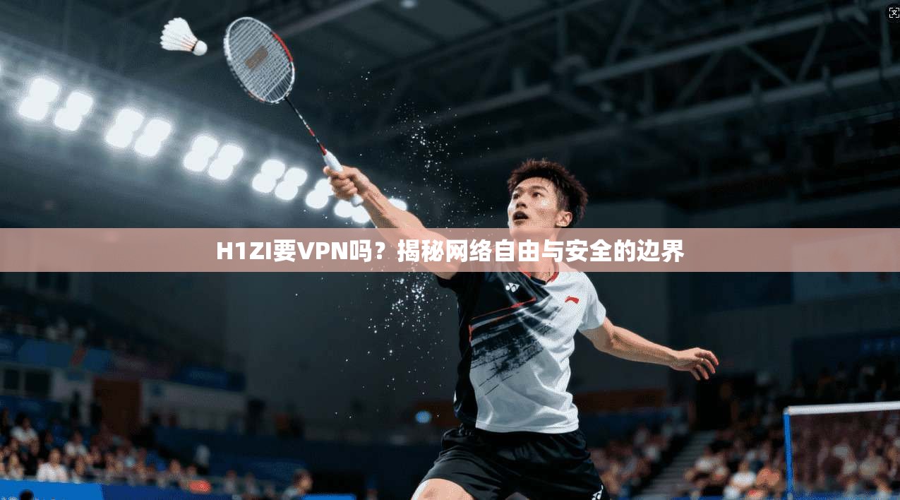 H1ZI要VPN吗？揭秘网络自由与安全的边界